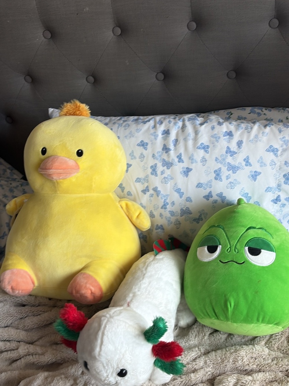 Stuffed animals - Picture 10 of 10